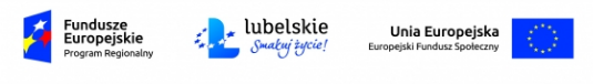 Logo Fundusze lubelskie unia